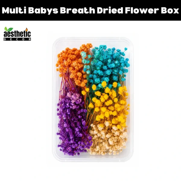 Multi Babys Breath Dried Flower Box